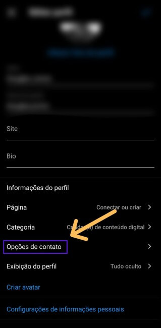 print-instagram-destacando-opções-de-contato