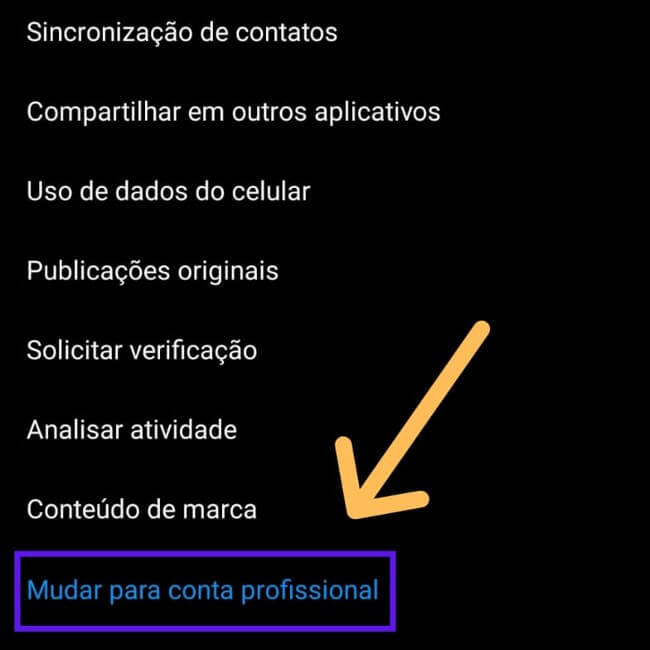 mudar para conta profissional instagram